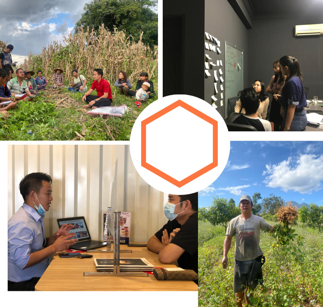 Picture of Primer International